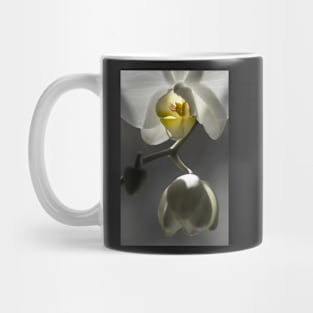 White Orchid Illuminated Mug